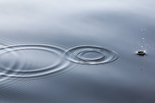 The Ripple Effect of Kindness: A Conversation with Dr. David Hamilton
