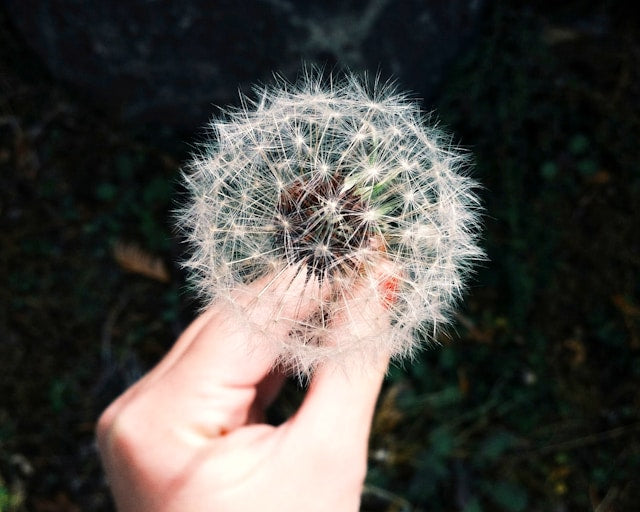 Natural Ways to Prevent and Ease Summer Allergies