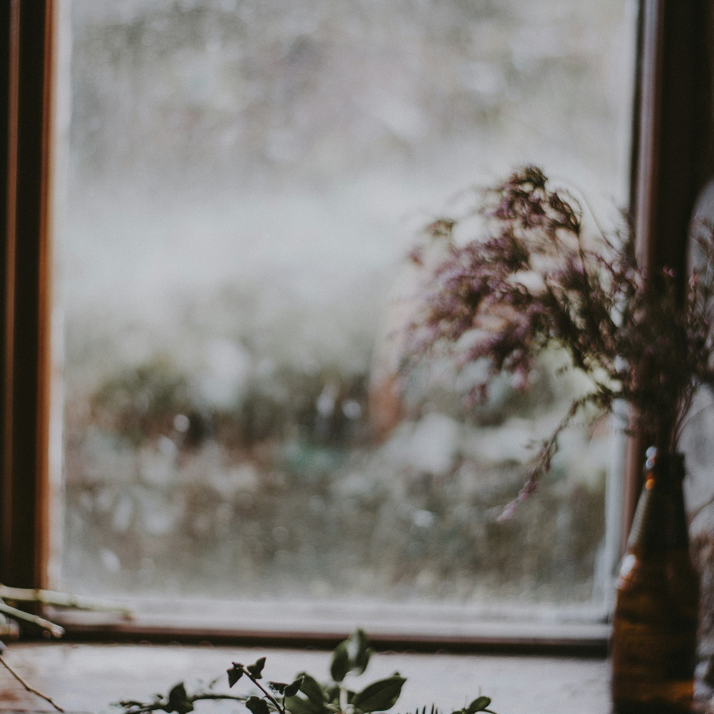 Seasonal Self-Care: How to Look After Your Skin and Wellbeing This Winter