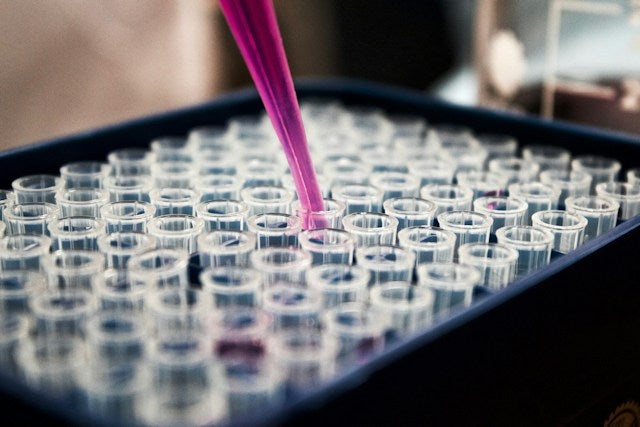 The Collagen Question: The Science, Funding and Facts
